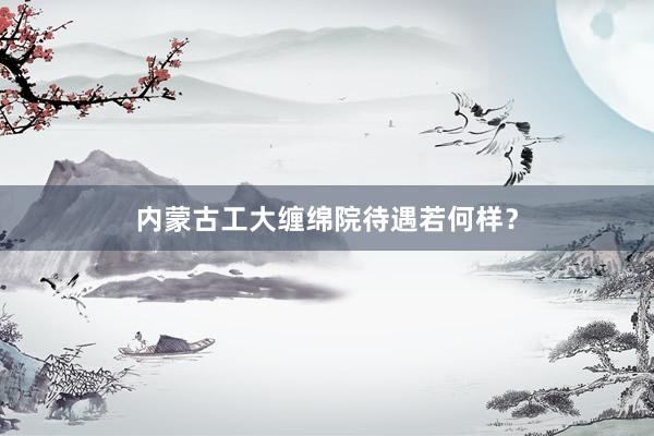 内蒙古工大缠绵院待遇若何样？